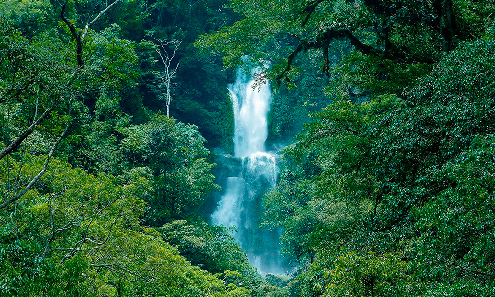 CASCADAS DEL BREO (JUANJUI) breo1